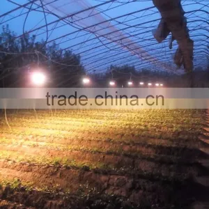 New Led Grow Lights 2017 for Europea Market,30w/50w Led Floodlight for Grow,with COB Grow Leds Design thumbnail-5