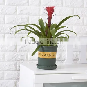 NEW Plastic Nursery 1 Gallon Trade POT thumbnail-5
