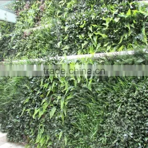 Vertical Garden Green Plants Wall,green Wall Backdrop thumbnail-2