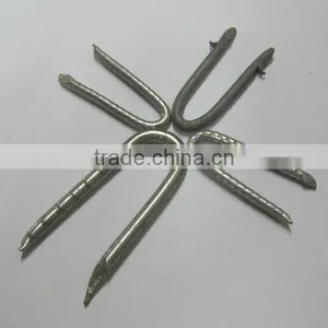 Polished Fence Staple, U Shape Wire Nails(Manutacturer) thumbnail-1