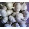 Garlic,fresh Garlic,garlic Supplier,Chinese Garlic thumbnail-2