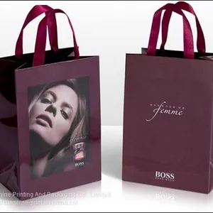 We Produce Color Printed Paper Bag, Gift Bag, Kraft Paper Bag, Shopping Bag, Foods Bag, PVC Bag thumbnail-4