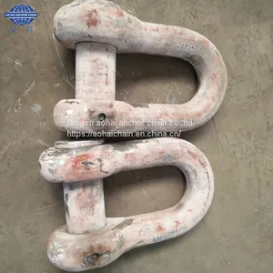 Jiangsu Factory Marine D Type End Anchor Shackle for Sale With CCS thumbnail-4
