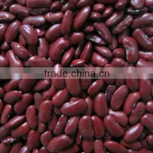 White Kidney Beans for Sale Kidney Beans Dark Red Wholesale thumbnail-3