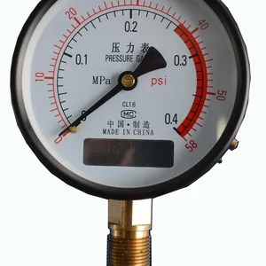 Pressure Gauges 304 thumbnail-1