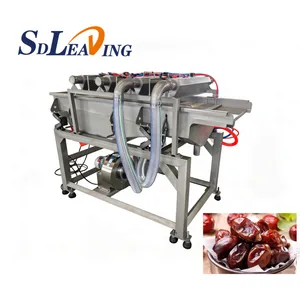 Large Scale Industrial Palm Dates Processing Machine Date Dryer Dehydrator Dates Drying Machine Dates Processing Plant Cost thumbnail-4