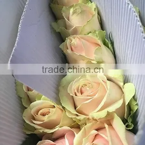 New Pink Avalache Flower Pink/red Artificial Roses thumbnail-1