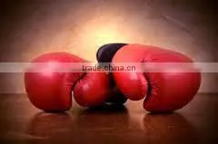 Championship Boxing Gloves thumbnail-1