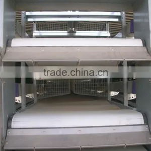 Birdsitter ISO9001 Qualified Aluminum-Zinc Alloy Poultry Farm Chicken Cage Quality Choice thumbnail-4