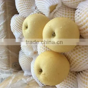 Buying Online in China Custom Canned Snow Pears thumbnail-1