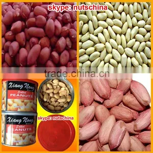 Chinese Blanched Peanuts 25/29 (VIRGINIA TYPE) thumbnail-1