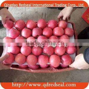 To Indian Market China Fuji Apple thumbnail-1