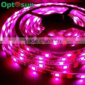 Smd5050 Infrared Led Strip Light With CE RoHS thumbnail-1