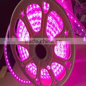 High Brightness 12v SMD3528 5050 Flexible Led Strip thumbnail-6
