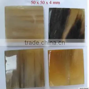 SIXTH SENSE Real Horn Natural Plates thumbnail-3