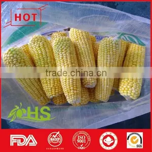 Wholesale White and Yellow Frozen Maize thumbnail-2