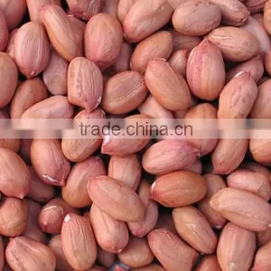 Chinese Peanut Kernel With Whole Price From Factory thumbnail-6