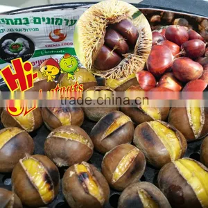 Wholesale Chestnut Fresh Chinese Chestnut thumbnail-1