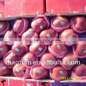 Red Apples thumbnail-1