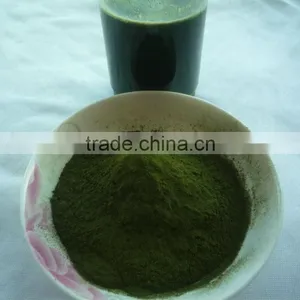 2015 Organic Wheat Grass Chlorophyll thumbnail-4