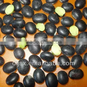 Black Soybean With Green Kernel thumbnail-1
