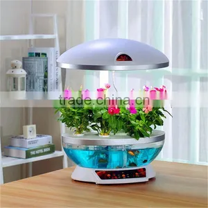 Grow Expand Water Toys thumbnail-1