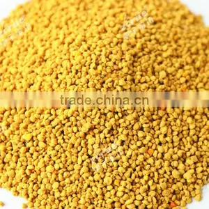 June 2014 Qinghai Province Rape Bee Pollen/rape Pollen thumbnail-1
