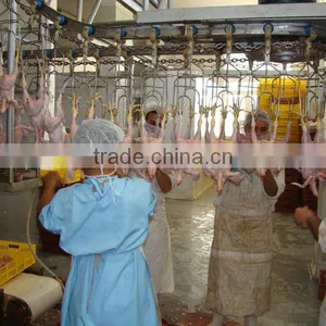 Chicken Slaughter Equipment Conveyor thumbnail-1