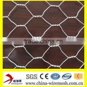 PVC Coated Galvanized Poultry Netting thumbnail-1