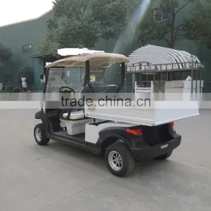 2 Seats Battery Powered Electric Uility Buggy With Aluminum Chassis and Cargo Box, EG204AHCX thumbnail-2