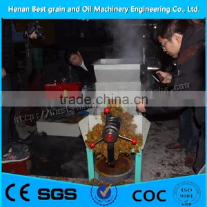 Factory Price Professional Crude Palm Oil Extraction Machine Price for Palm Oil Manufacturers thumbnail-6