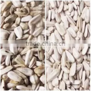 ZRWS Intelligent CCD White Sunflower Seeds Color Optical Machine thumbnail-2