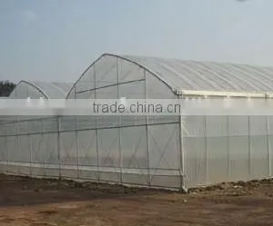Vegetable Single Span Gothic Commercial Plstic Greenhouse thumbnail-1