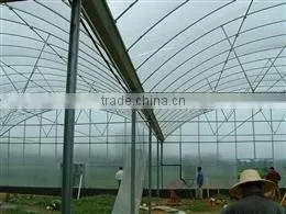 Single Layer Plastic Film Greenhouse thumbnail-1