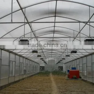 Anti Fog Blend for Plastic Greenhouse Film thumbnail-1