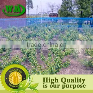 2014 Hot Sale Hdpe Anti Bird Net thumbnail-4