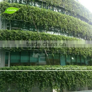 GNW GLW024 Artificial Green Wall Lifelike Plastic Plants for Indoor Garden Landscaping thumbnail-1