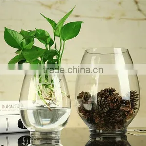 Wholesale Clear Round Glass Flower Vases thumbnail-1