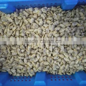 Frozen Natural Taste High Quality X-checked Clam Meat for Sale thumbnail-3