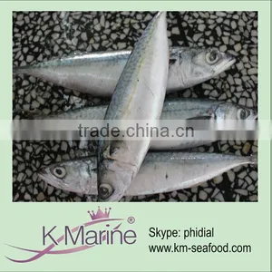 Frozen Seafood For Canned Fish Lot Number#kmw4047 thumbnail-1