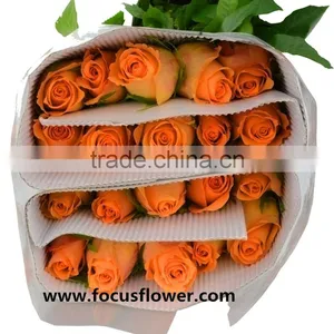 Promotional Handmade Porcelain Flowers Fresh Cut Tube Flower Queen's Day Rose for Decoration From Yunnan thumbnail-6