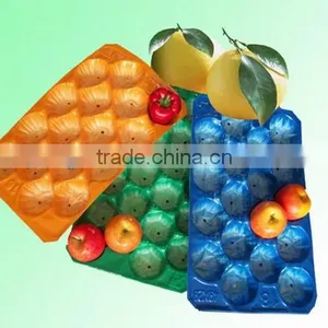 Food Grade Recycle Disposable Rectangular Tomato Plastic Container thumbnail-2