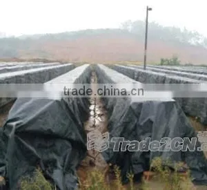2015 HOT SALE Factory Price Tarpaulines Industrial Tarp PP thumbnail-2