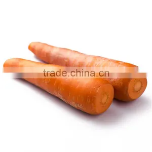 Wholesale Baby Carrots With Good Price thumbnail-2