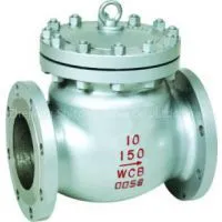 Check Valves No Return Valve thumbnail-1