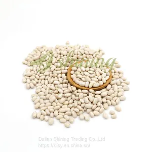 Japanese Type Dried White Kidney Bean thumbnail-2