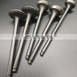 Racing Modified Car Spare Parts For AC Schnitzer M3 X5 7 Series Inlet Outlet Engine Valves thumbnail-2