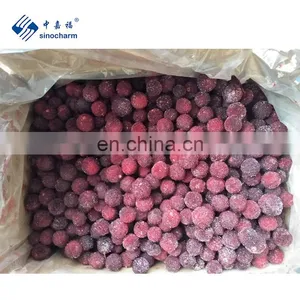 Tropical Fruit Yungmei Bayberry Frozen Waxberry thumbnail-1