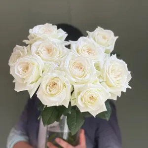 China Supply Long Stem Fresh Roses Natural Bulk Flowers Fresh Cut Roses From China 20pcs/bundle thumbnail-1