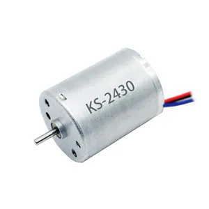 2430 24mm Brushless dc Motor 12v24v dc Motors Brushless With Built-in Driver thumbnail-1
